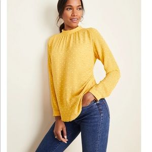 NWOT Ann Taylor Geo Clip Tie Back Popover